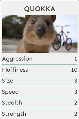 Quokka